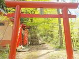 DSCN0206