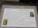 DSCN0319