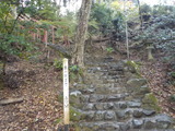 DSCN0353