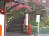 DSCN0343
