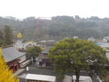 DSCN0340