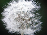 165