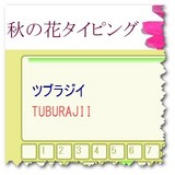 秋の花タイピング