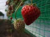 2009_03010169