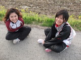2009_03010194