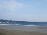 2009_11290130