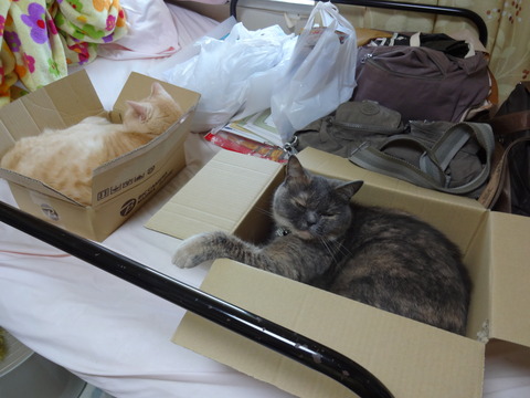 DSC02316