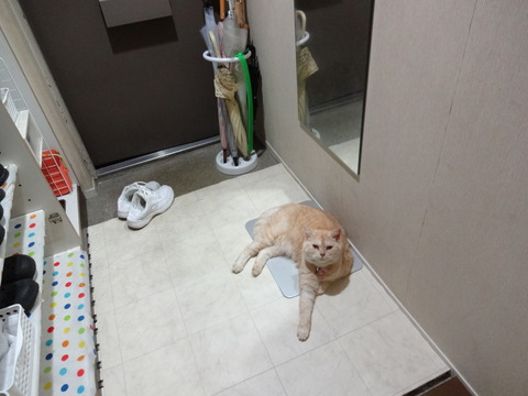 DSC02239