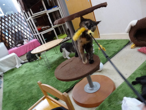 DSC01917