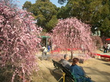 2011-02-27 15.19.28
