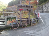2011-11-20 11.46.58