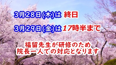 ʡα¸¦½¤Ê¿À®31ǯ3·î
