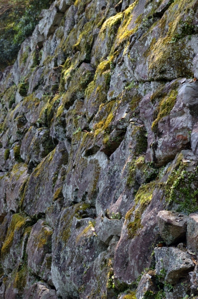 wall
