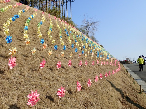 2019-04-06 15.47.23