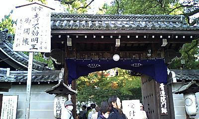青不動