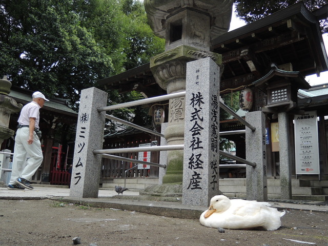 DSCN9130t