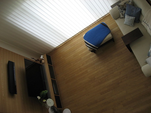 ロフトからの眺め~2012初夏