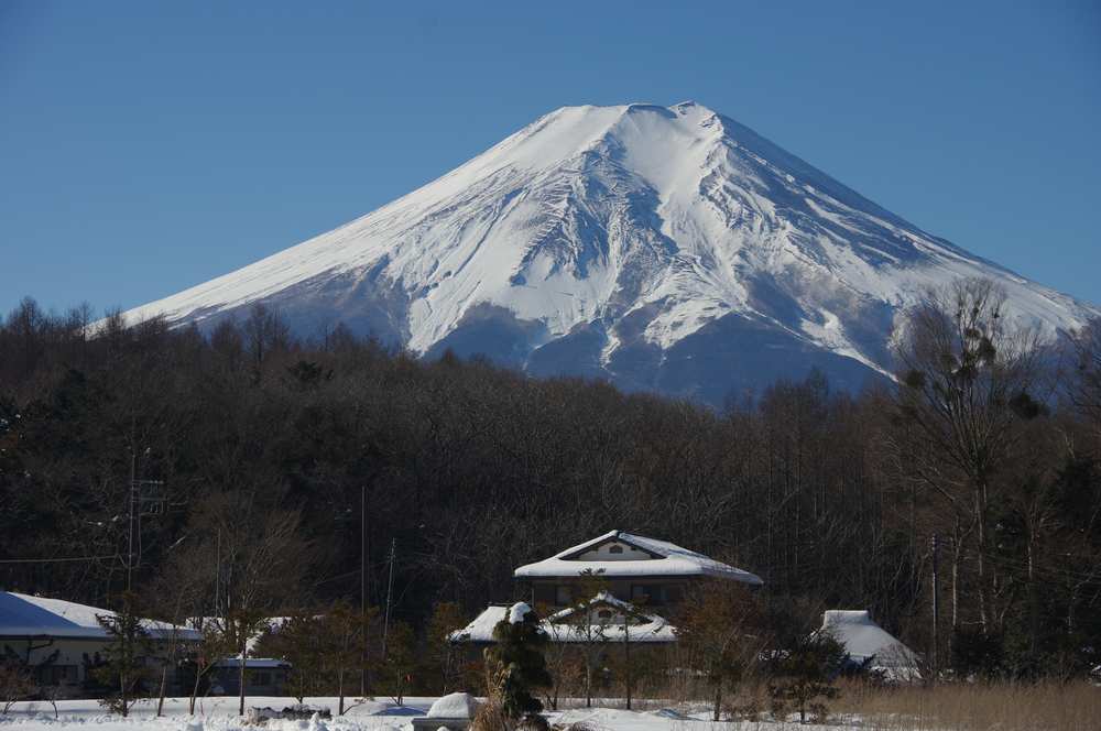 IMGP4559