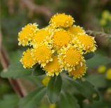 028