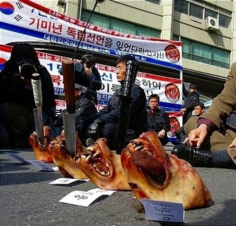 South Korean eat dogs. Handling of the dog by the Republic of Korea