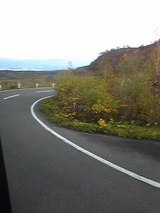 1c2d2337.jpg