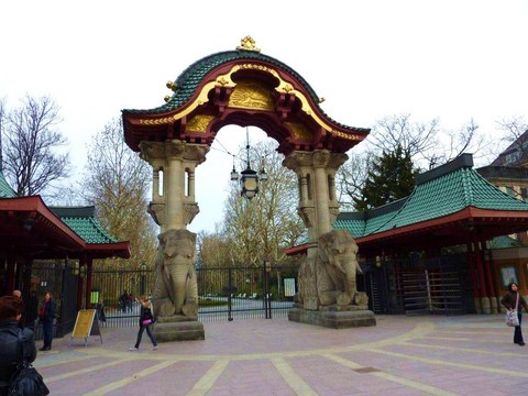 P1040326