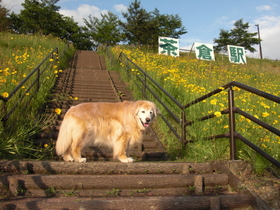 2010_0529_174559-CIMG5424