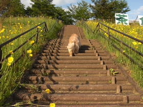 2010_0529_174633-CIMG5428
