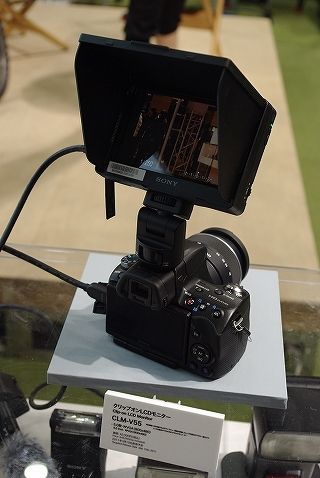 CPプラス12
