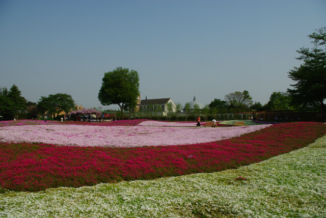 1c65a4d0.jpg