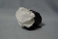 246228f6.jpg