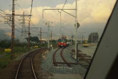26412701.jpg