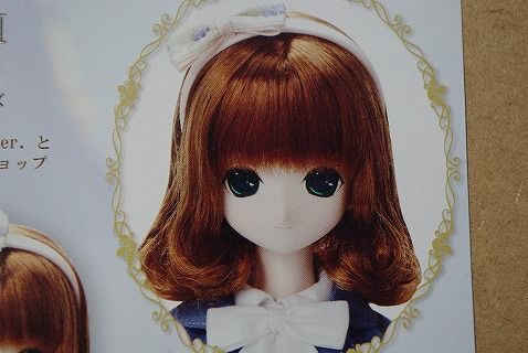 アゾンDM20116月13