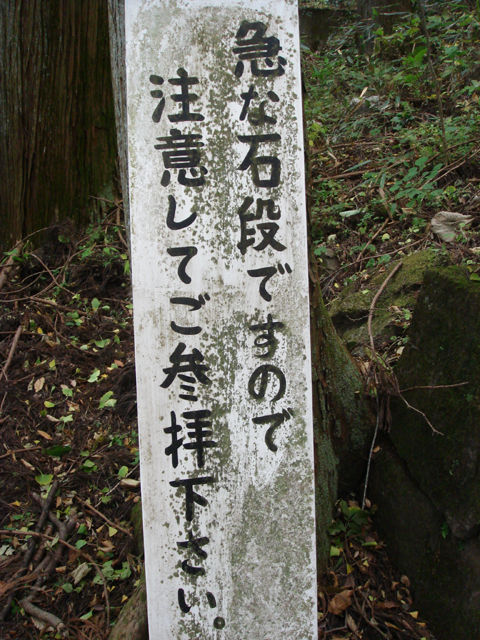 m08.jpg
