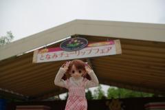 4e5f8d90.jpg