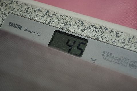 SDキャリング19