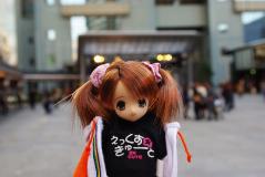 5169187c.jpg