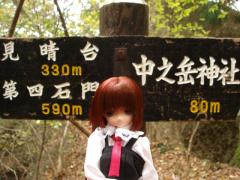 51c12020.jpg
