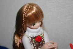 52607245.jpg
