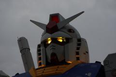 526959d1.jpg