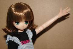 534928e5.jpg