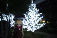 5426054f.jpg