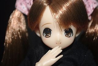 ふわどき2011 ちさ14きらん