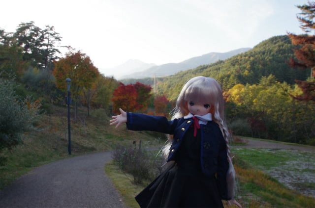 5c20a84f.jpg