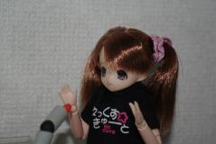 6223ed16.jpg