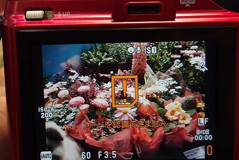 CPプラス66