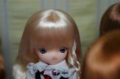 722415c0.jpg