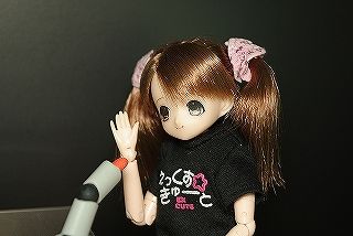 ふわどき2011 ちさ12でした