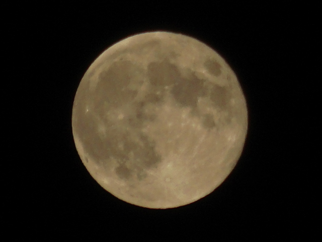 7fd13067.jpg