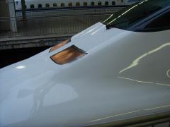 81915952.jpg